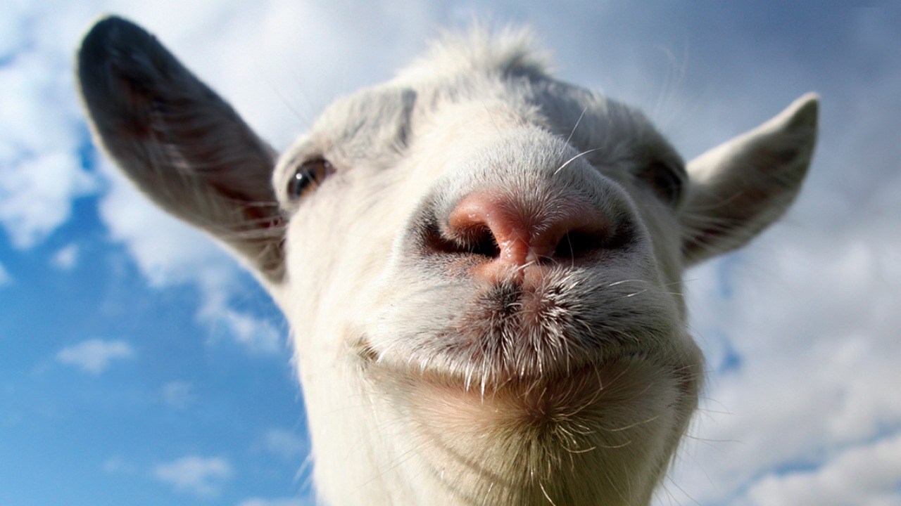 Goat Simulator, İngiltere’de Kutulu Satılacak