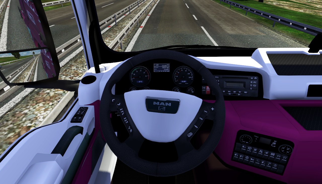 ETS 2 Mod MAN TGX Euro 5 için Skin ve Interior Paketi